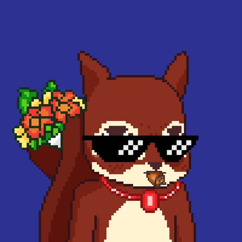 Pixel Squirrels #9356